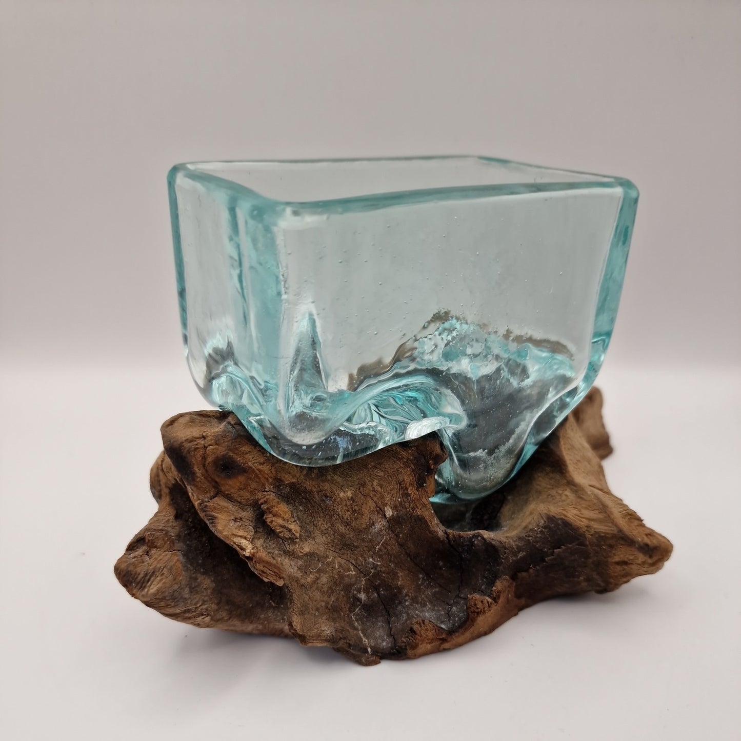 Moulton glass dish On driftwood Root