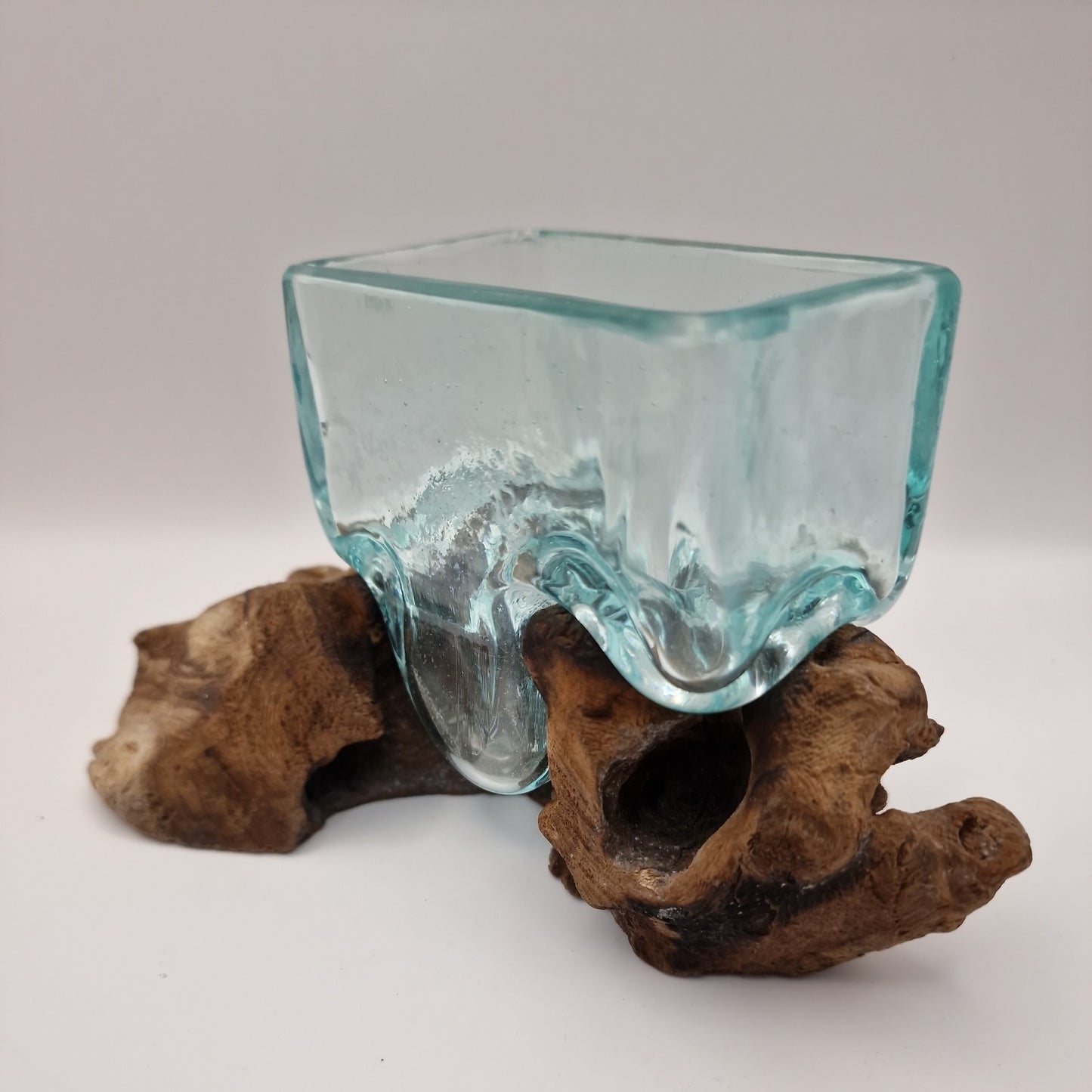 Moulton glass dish On driftwood Root