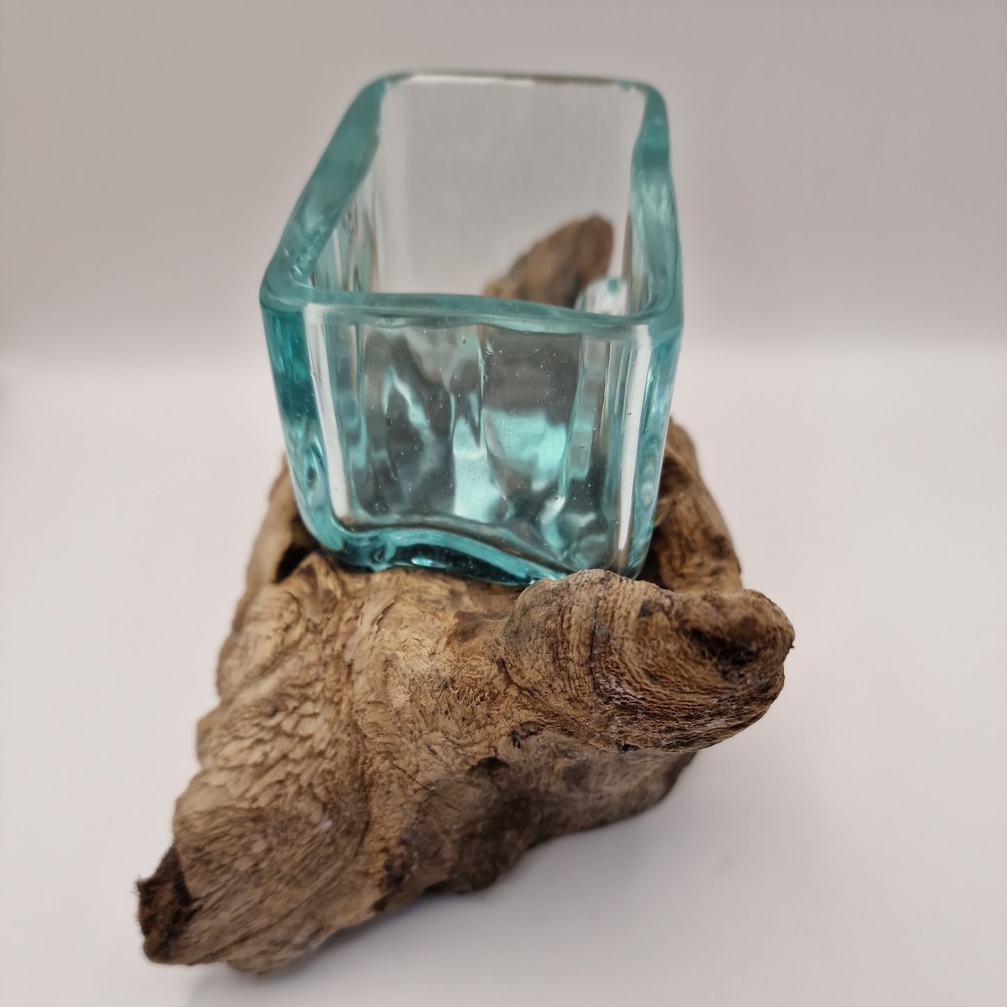 Moulton dish On driftwood Root