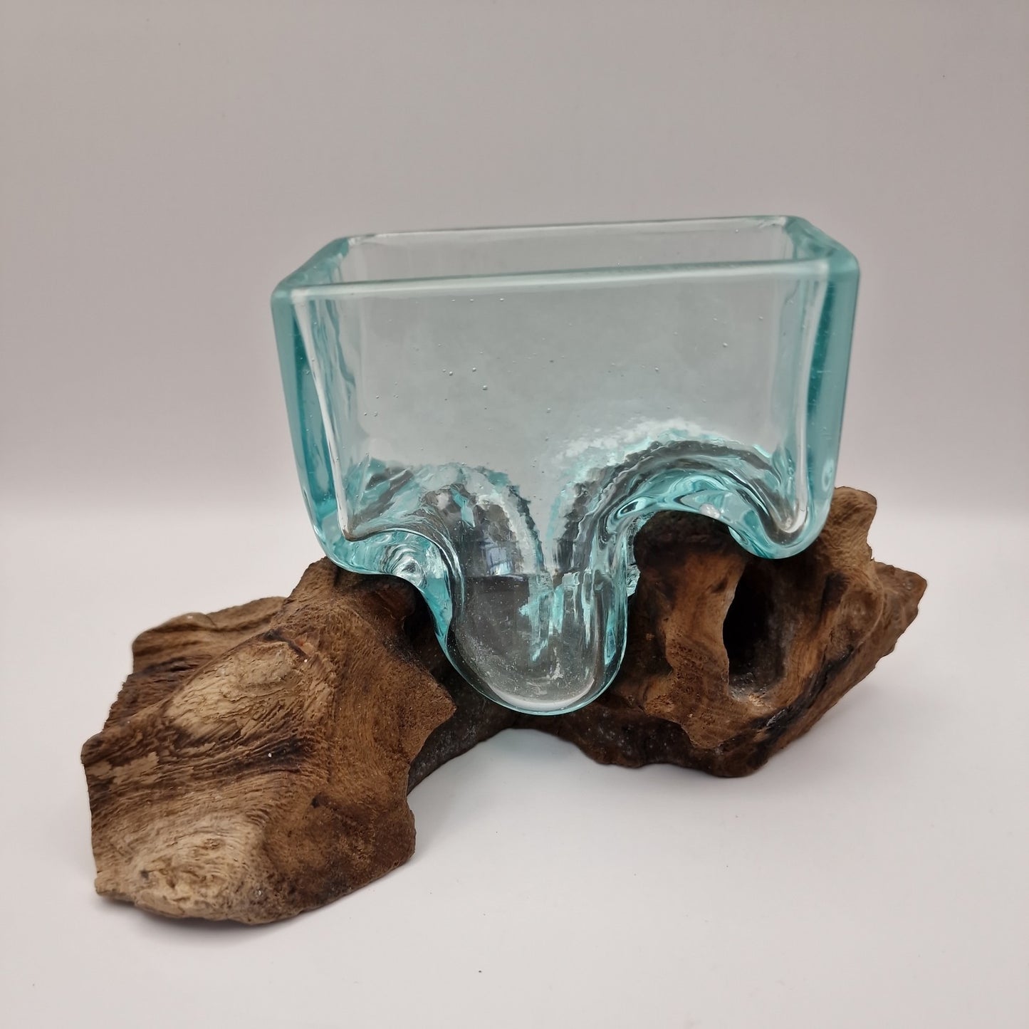 Moulton glass dish On driftwood Root