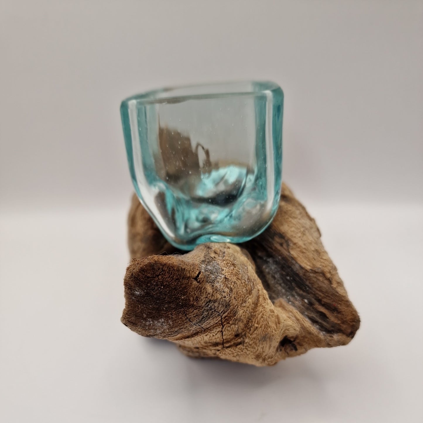 Moulton dish On driftwood Root