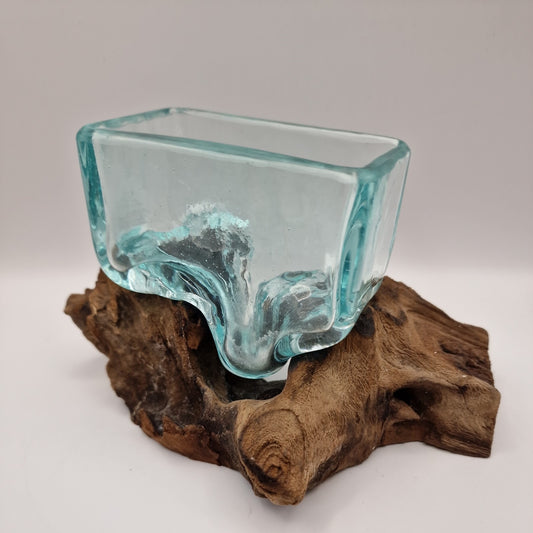 Moulton glass dish On driftwood Root