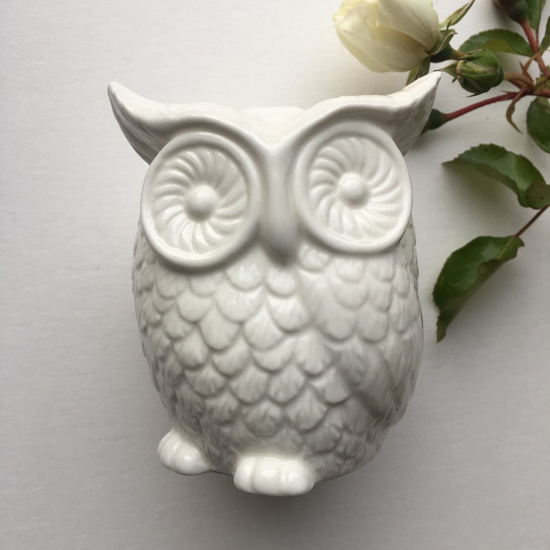 White Owl Ceramic Money Box