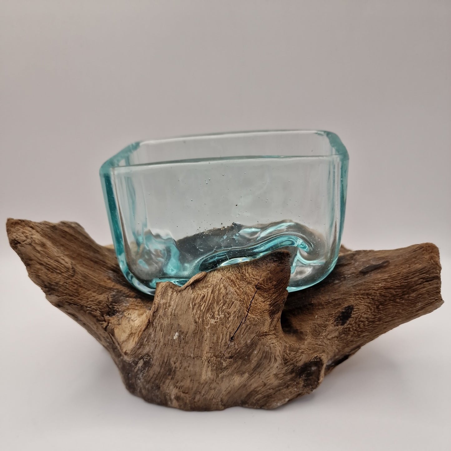 Moulton dish On driftwood Root