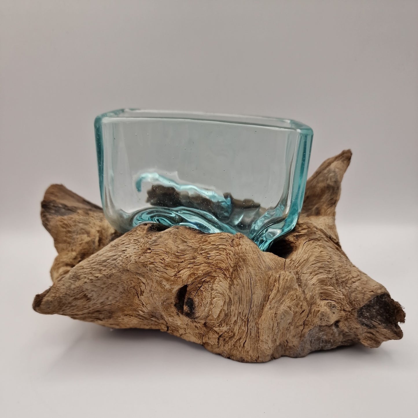 Moulton dish On driftwood Root