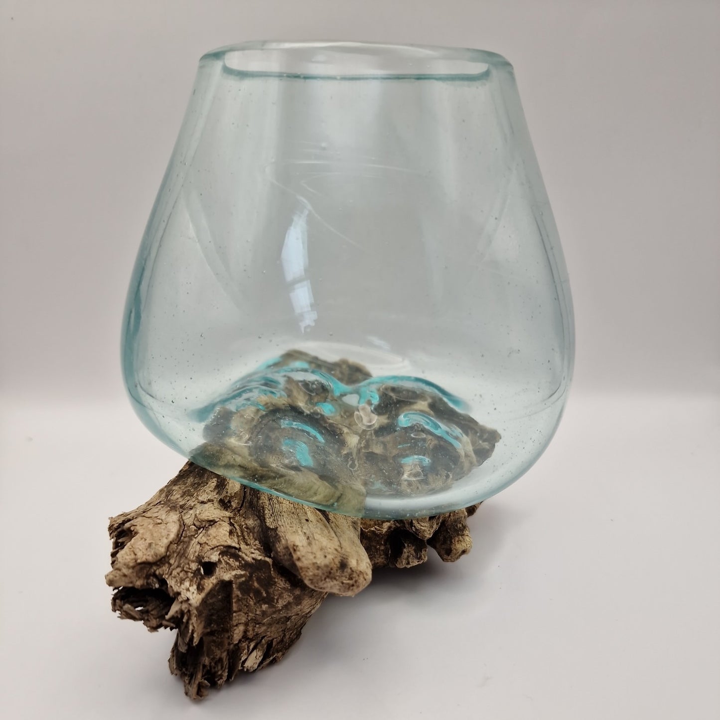 Moulton bowl On driftwood Root