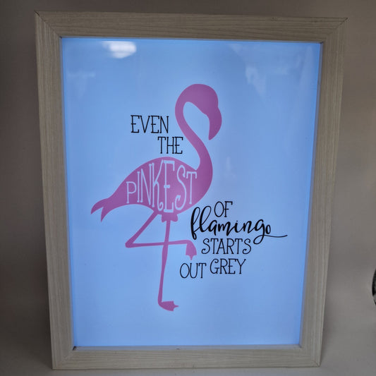 Even the pinkest flamingo starts out grey Light Box Birthday Gift funny