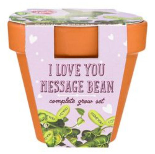I Love You Message Bean Complete Grow Set