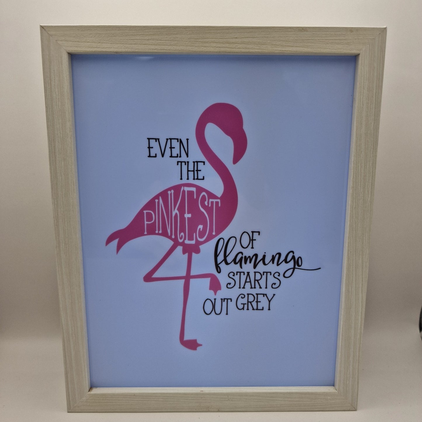 Even the pinkest flamingo starts out grey Light Box Birthday Gift funny
